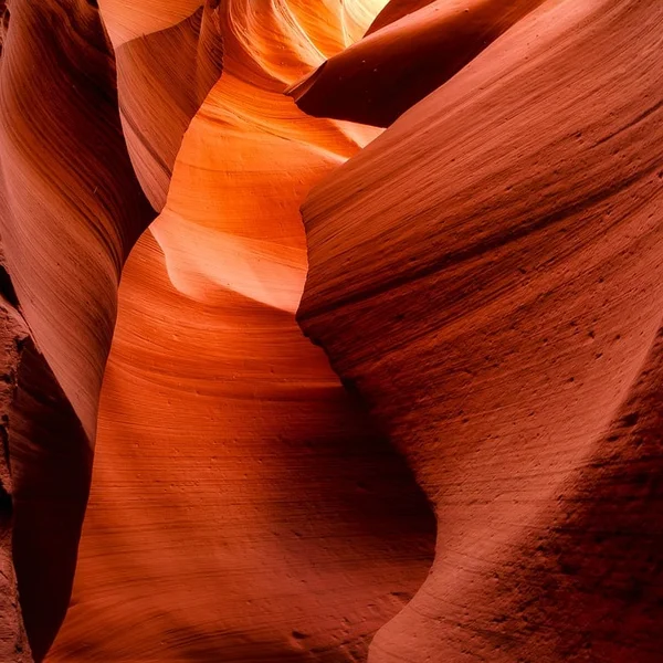 六合彩投注老虎机