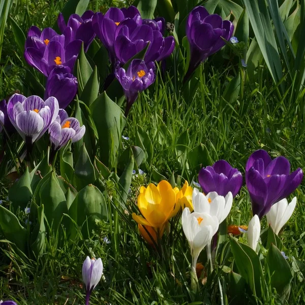 六合彩投注棋牌游戏